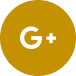 icon google plus